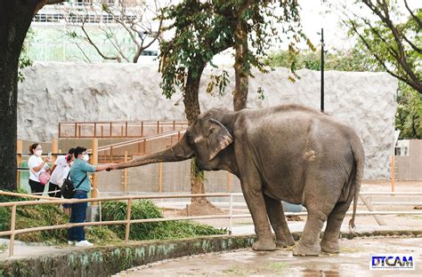 manila zoo ticket
